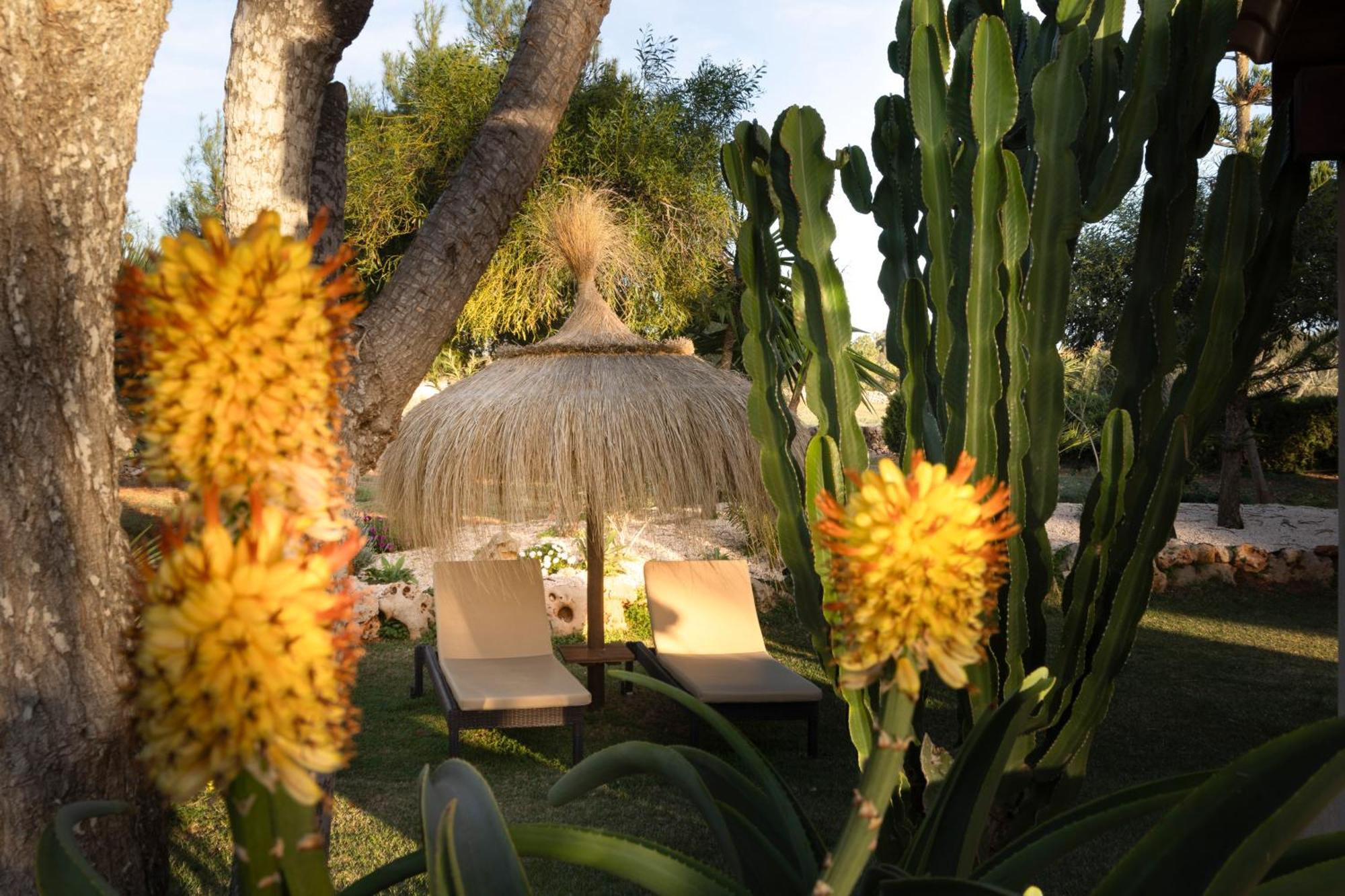 Agroturismo Finca Sa Tanca Cala d'Or  Exterior photo